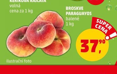 BROSKVE PARAGUAYOS