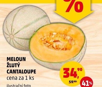 Meloun Cantaloupe