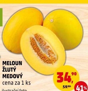 Meloun medový žlutý
