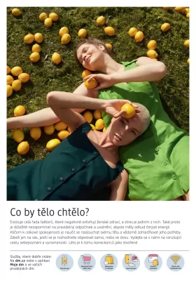 akční leták dm drogerie 11.7.2024-14.8.2024