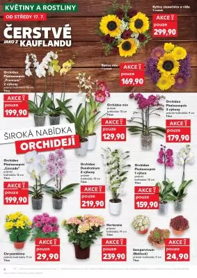 akční leták Kaufland 17.7.2024-23.7.2024