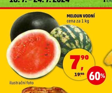 Meloun vodní