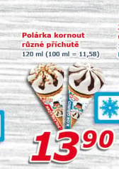 Nanuk kornout Polárka