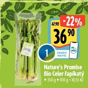 Celer řapíkatý bio Nature'