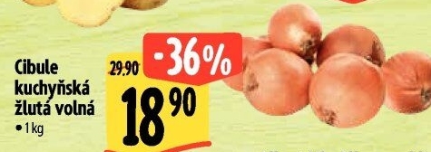 Cibule kuchyňská žlutá