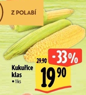 Kukuřice klas