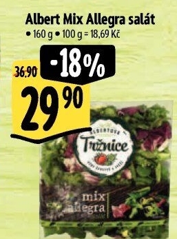 Salát Allegra mix Albert