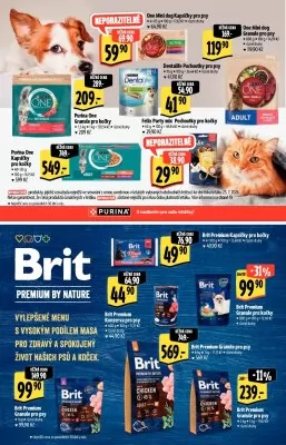 akční leták Albert 31.7.2024-13.8.2024