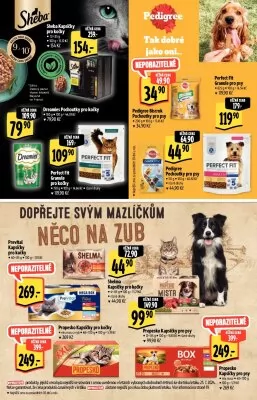 akční leták Albert 31.7.2024-13.8.2024