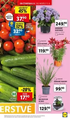 akční leták Lidl 8.8.2024-11.8.2024
