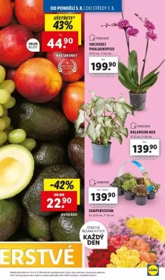 akční leták Lidl 5.8.2024-11.8.2024