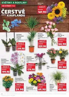 akční leták Kaufland 7.8.2024-13.8.2024