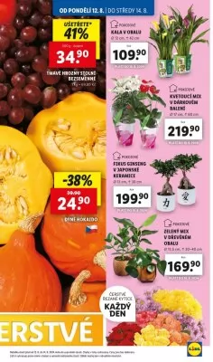 akční leták Lidl 12.8.2024-18.8.2024