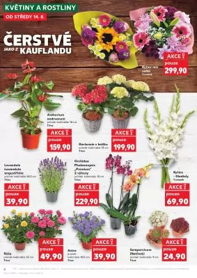 akční leták Kaufland 14.8.2024-20.8.2024