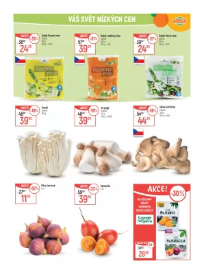 akční leták Globus 14.8.2024-20.8.2024