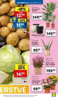 akční leták Lidl 19.8.2024-25.8.2024