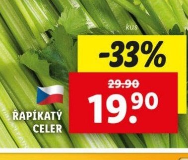 Řapíkatý celer