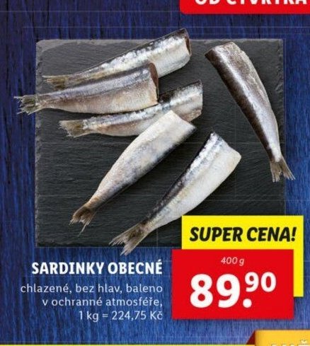 SARDINKY OBECNÉ