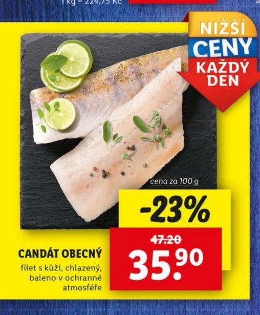 CANDÁT OBECNÝ