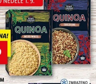 Quinoa