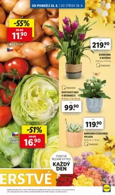 akční leták Lidl 26.8.2024-1.9.2024