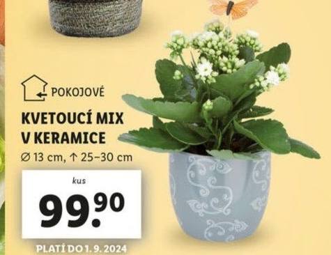 Mix kvetoucích rostlin