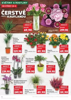 akční leták Kaufland 28.8.2024-3.9.2024