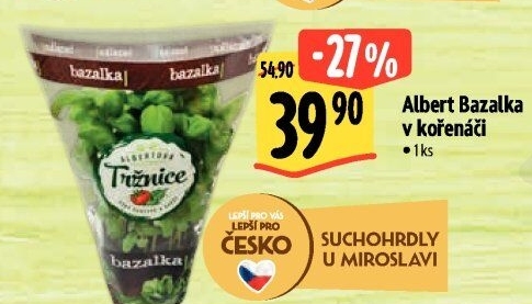 Bylinky v květináči Albert