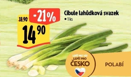 Jarní cibule svazek