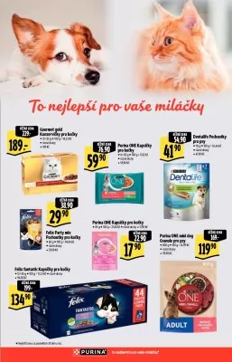 akční leták Albert 11.9.2024-24.9.2024