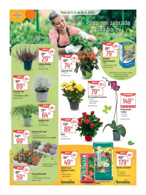 akční leták Globus 11.9.2024-17.9.2024