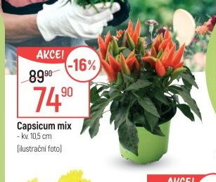 Capsicum mix
