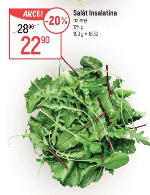 Salát Insalatina