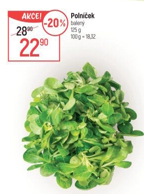 Salát polníček