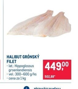 HALIBUT GRÓNSKÝ FILET