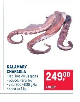 KALAMÁRY CHAPADLA