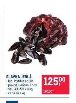 SLÁVKA JEDLÁ