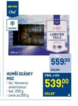 HUMŘÍ OCÁSKY MSC