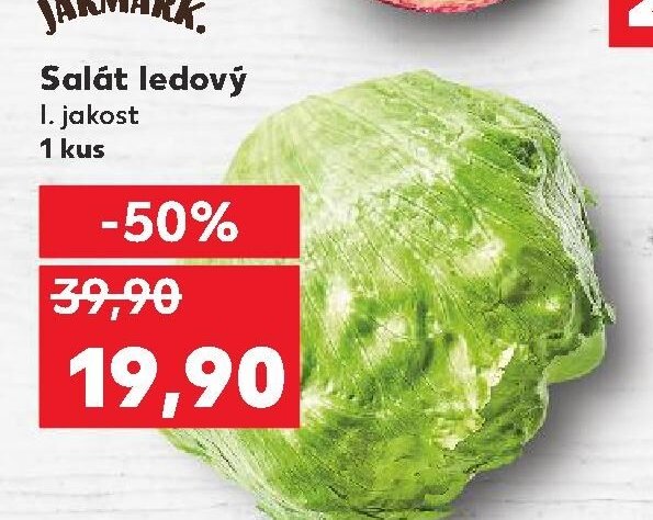 Salát ledový