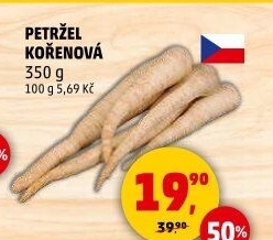 Petržel
