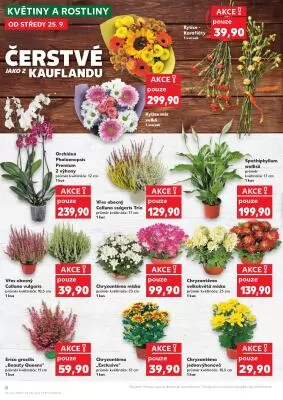 akční leták Kaufland 25.9.2024-1.10.2024