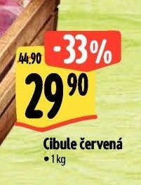 Cibule červená