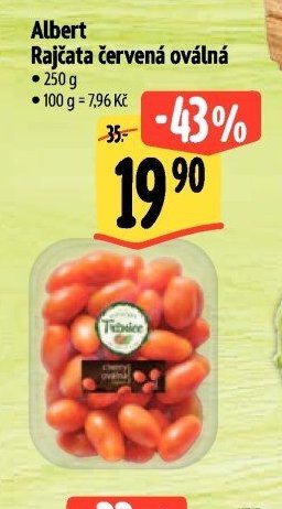 Albert Rajčata červená oválná