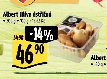 Albert Hlíva ústřičná