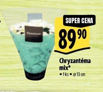 Chryzantéma mix*