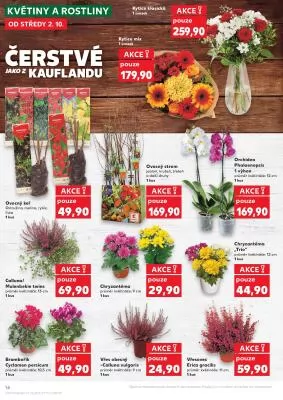 akční leták Kaufland 2.10.2024-8.10.2024