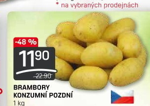 Brambory konzumní pozdní