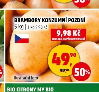 BRAMBORY KONZUMNÍ POZDNÍ