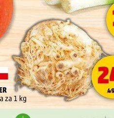 CELER