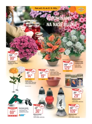 akční leták Globus 9.10.2024-15.10.2024